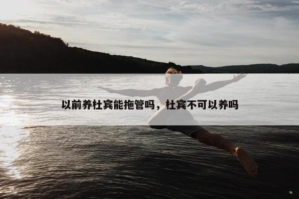 以前养杜宾能拖管吗，杜宾不可以养吗