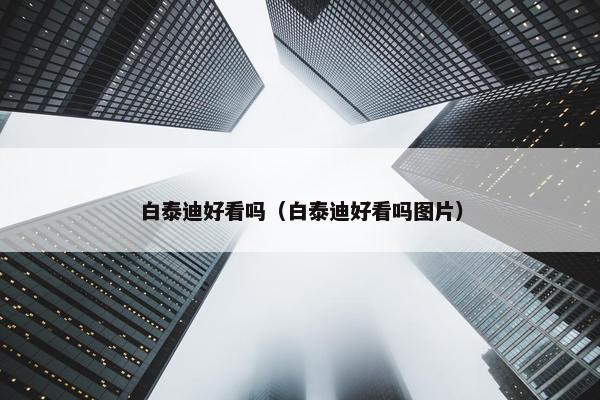 白泰迪好看吗（白泰迪好看吗图片）