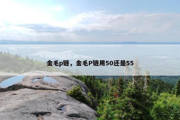 金毛p链，金毛P链用50还是55
