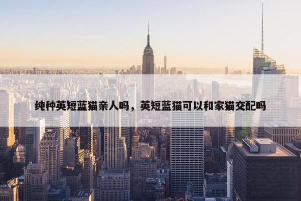 纯种英短蓝猫亲人吗，英短蓝猫可以和家猫交配吗