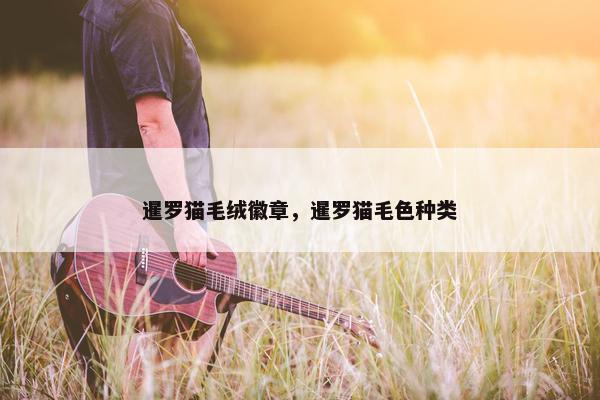 暹罗猫毛绒徽章，暹罗猫毛色种类