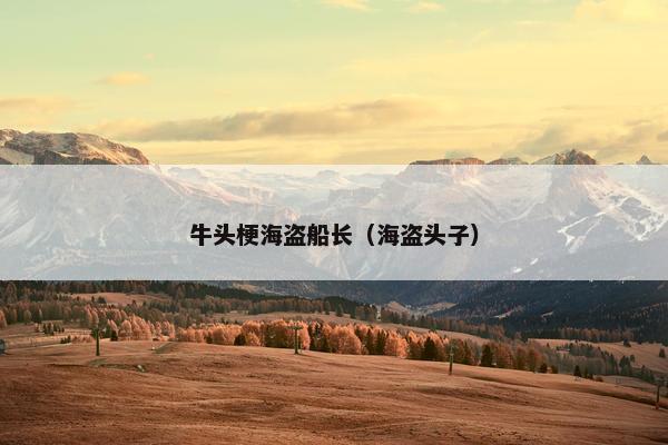 牛头梗海盗船长（海盗头子）