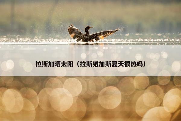 拉斯加晒太阳（拉斯维加斯夏天很热吗）