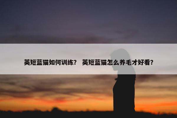 英短蓝猫如何训练？ 英短蓝猫怎么养毛才好看？