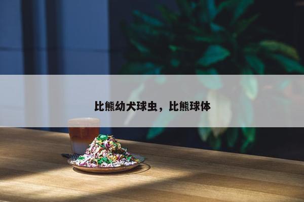 比熊幼犬球虫，比熊球体