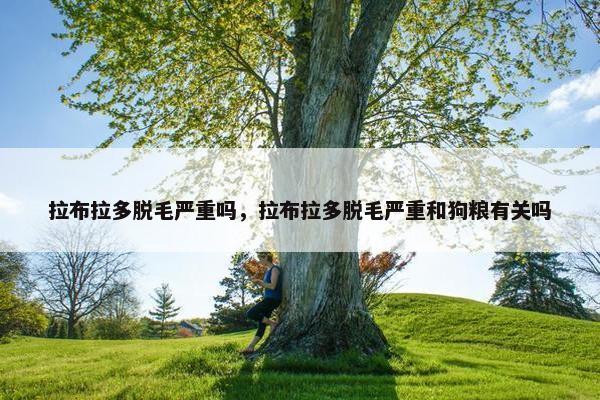 拉布拉多脱毛严重吗，拉布拉多脱毛严重和狗粮有关吗