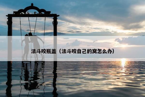 法斗咬瓶盖（法斗咬自己的窝怎么办）