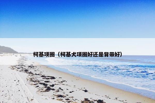 柯基项圈（柯基犬项圈好还是背带好）
