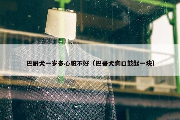 巴哥犬一岁多心脏不好（巴哥犬胸口鼓起一块）