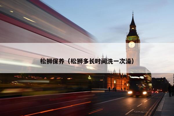松狮保养（松狮多长时间洗一次澡）