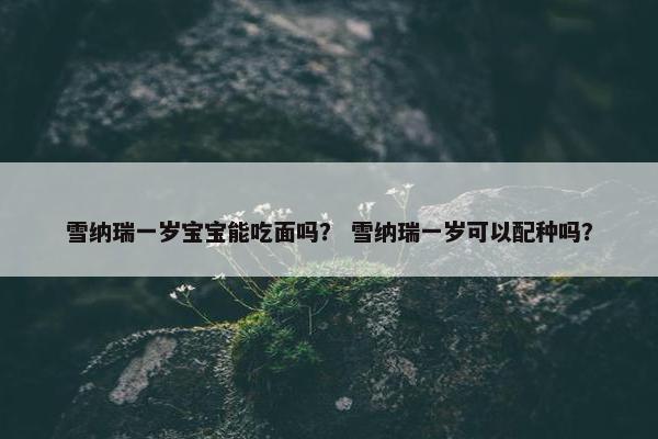 雪纳瑞一岁宝宝能吃面吗？ 雪纳瑞一岁可以配种吗？