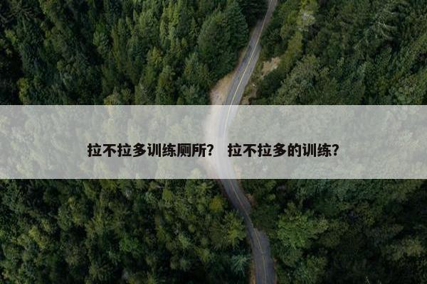 拉不拉多训练厕所？ 拉不拉多的训练？