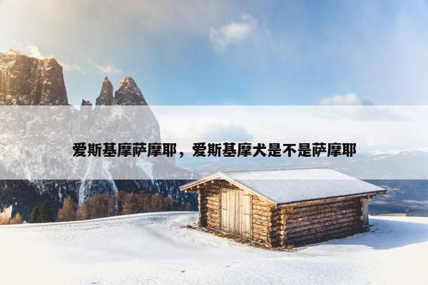 爱斯基摩萨摩耶，爱斯基摩犬是不是萨摩耶