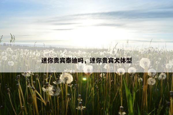 迷你贵宾泰迪吗，迷你贵宾犬体型