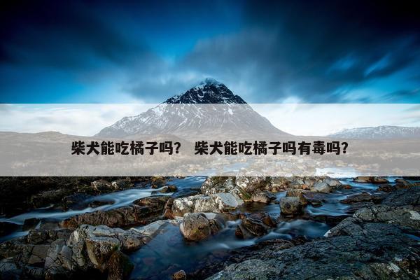 柴犬能吃橘子吗？ 柴犬能吃橘子吗有毒吗？