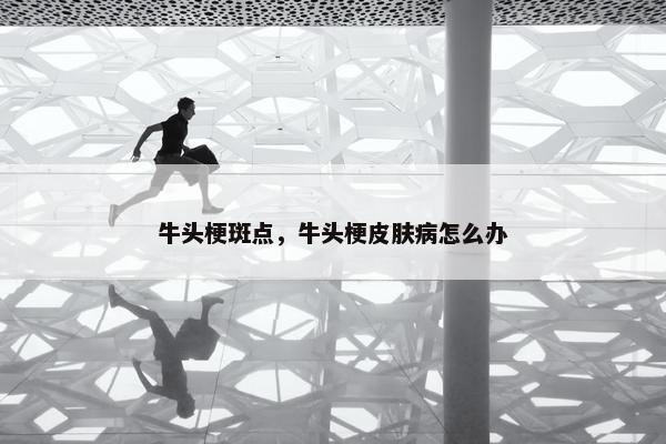 牛头梗斑点，牛头梗皮肤病怎么办