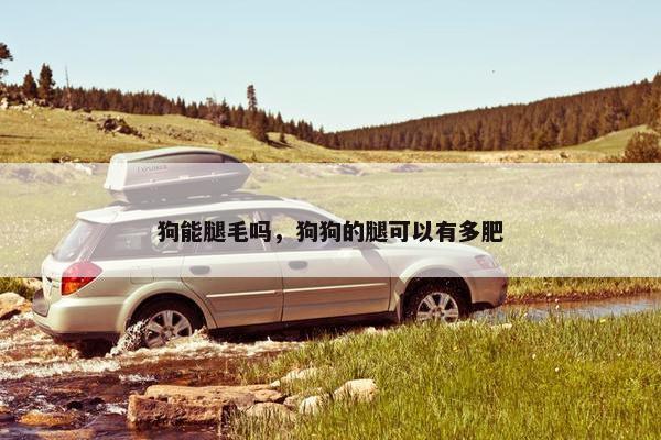 狗能腿毛吗，狗狗的腿可以有多肥