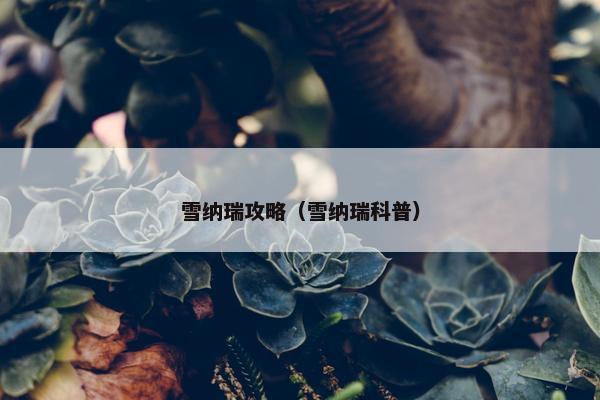 雪纳瑞攻略（雪纳瑞科普）