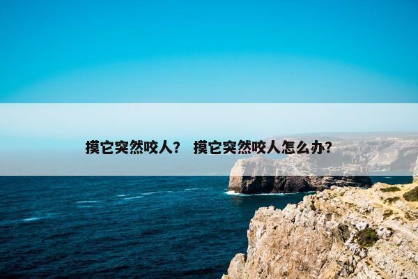 摸它突然咬人？ 摸它突然咬人怎么办？