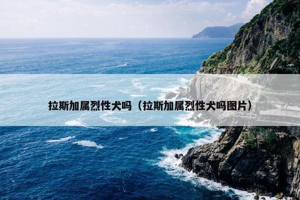 拉斯加属烈性犬吗（拉斯加属烈性犬吗图片）