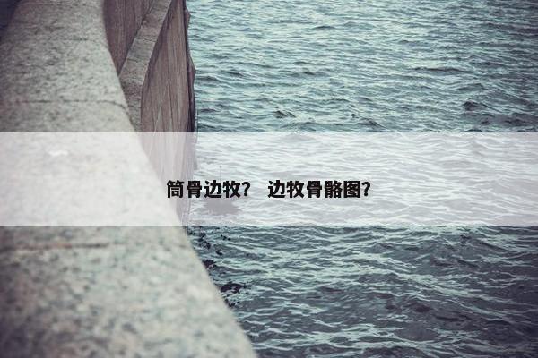 筒骨边牧？ 边牧骨骼图？