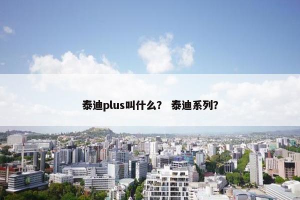 泰迪plus叫什么？ 泰迪系列？