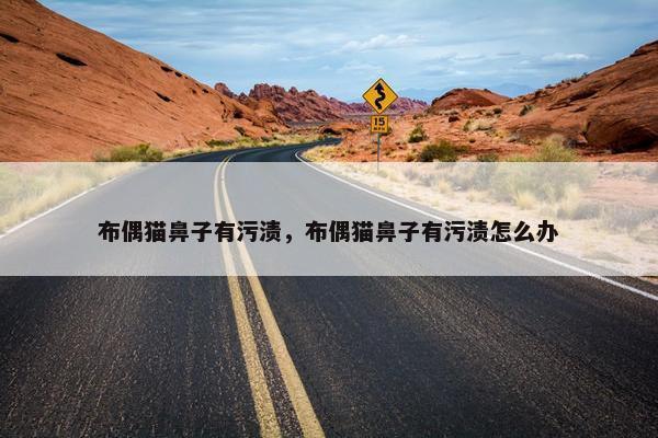 布偶猫鼻子有污渍，布偶猫鼻子有污渍怎么办