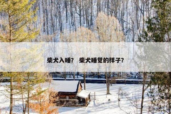 柴犬入睡？ 柴犬睡觉的样子？