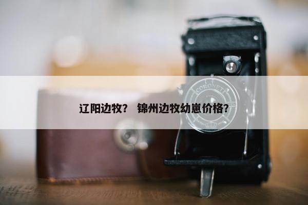 辽阳边牧？ 锦州边牧幼崽价格？