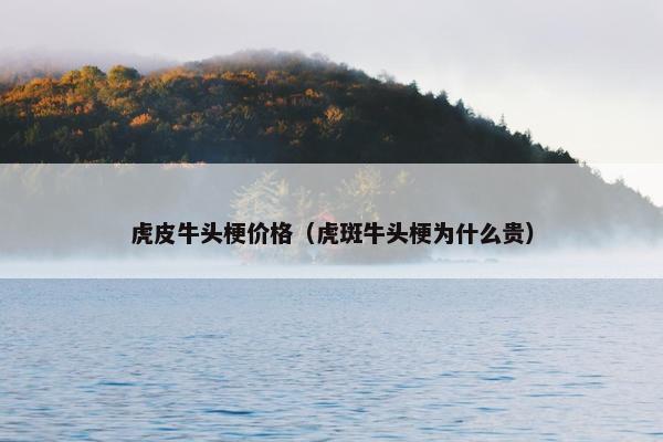 虎皮牛头梗价格（虎斑牛头梗为什么贵）