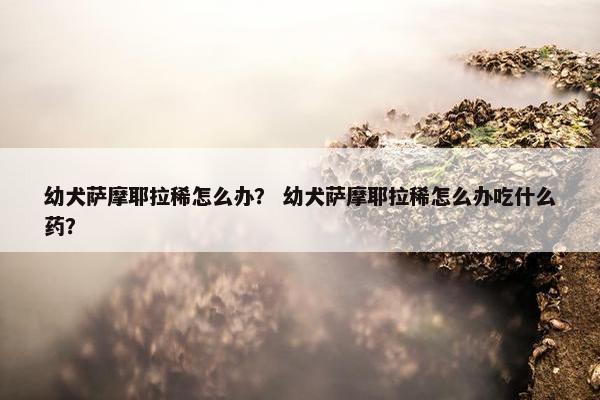 幼犬萨摩耶拉稀怎么办？ 幼犬萨摩耶拉稀怎么办吃什么药？