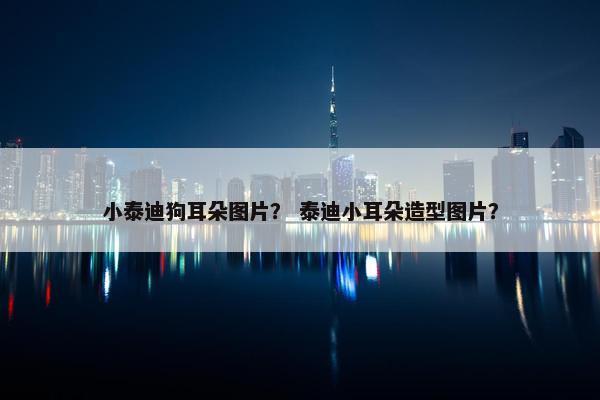 小泰迪狗耳朵图片？ 泰迪小耳朵造型图片？