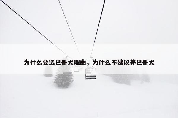 为什么要选巴哥犬理由，为什么不建议养巴哥犬
