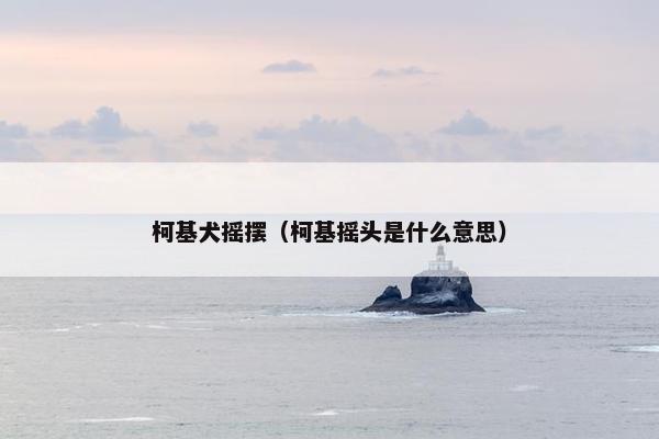 柯基犬摇摆（柯基摇头是什么意思）