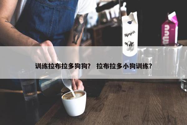 训练拉布拉多狗狗？ 拉布拉多小狗训练？