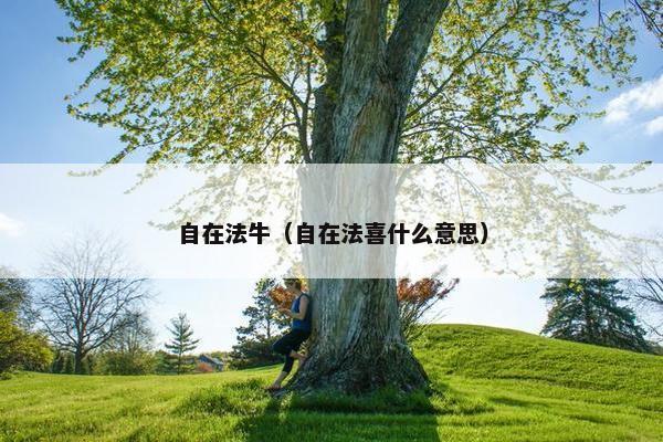 自在法牛（自在法喜什么意思）