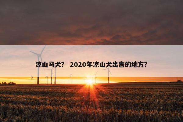 凉山马犬？ 2020年凉山犬出售的地方？