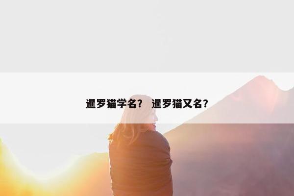 暹罗猫学名？ 暹罗猫又名？