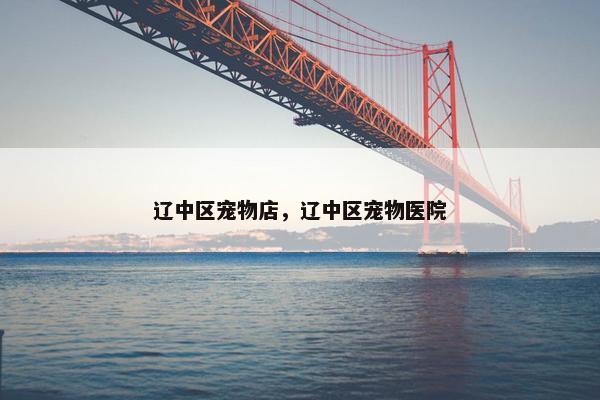 辽中区宠物店，辽中区宠物医院