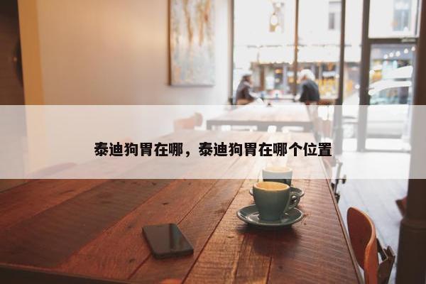 泰迪狗胃在哪，泰迪狗胃在哪个位置