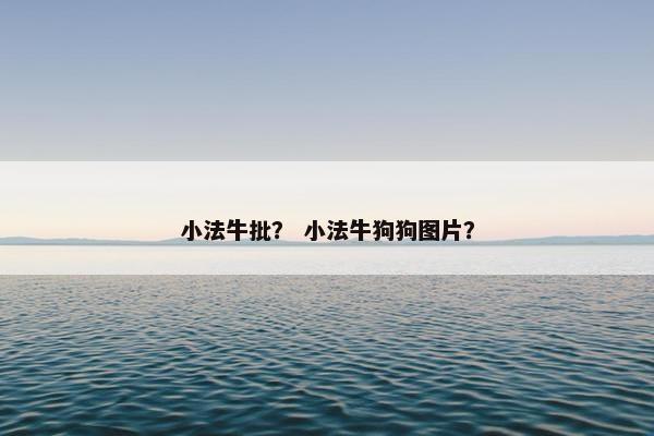 小法牛批？ 小法牛狗狗图片？