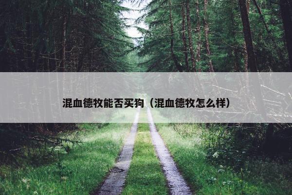 混血德牧能否买狗（混血德牧怎么样）