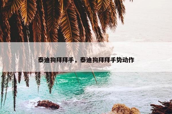 泰迪狗拜拜手，泰迪狗拜拜手势动作