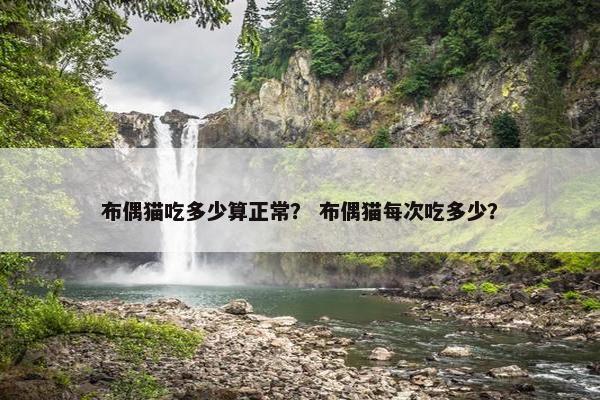 布偶猫吃多少算正常？ 布偶猫每次吃多少？