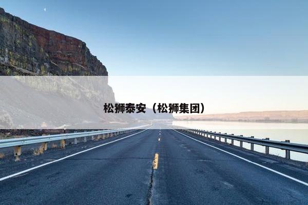 松狮泰安（松狮集团）