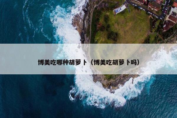 博美吃哪种胡萝卜（博美吃胡萝卜吗）