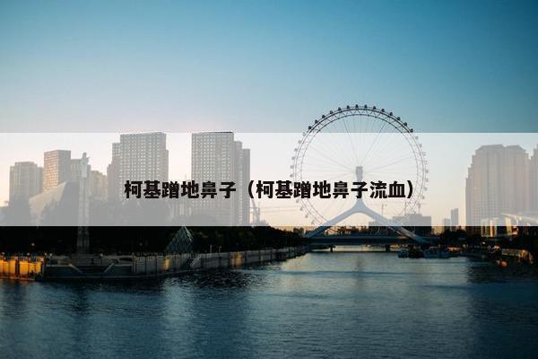 柯基蹭地鼻子（柯基蹭地鼻子流血）