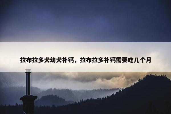 拉布拉多犬幼犬补钙，拉布拉多补钙需要吃几个月