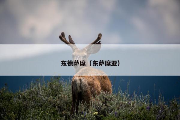 东德萨摩（东萨摩亚）