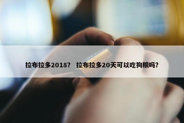 拉布拉多2018？ 拉布拉多20天可以吃狗粮吗？